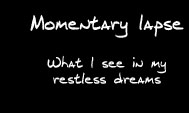 A banner for Momentary Lapse